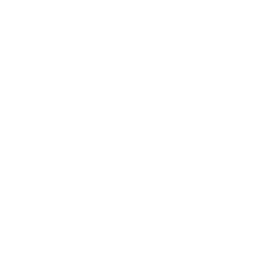 MDM Digital Solutions